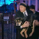Illustration for article titled Super Human Cory Booker Is Now Personally Rescuing Animals from the Cold